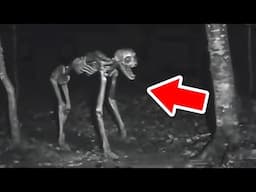 कैंपिंग के दौरान रोंगटे खड़े कर देने वाले हादसे। | Terrifying Camping Encounters