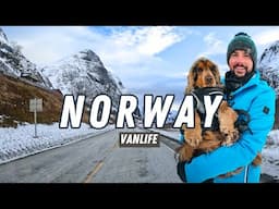 ARCTIC VANLIFE IS OVER, we have to LEAVE early | Norway Vanlife