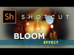 How to Add the Cinematic Bloom Effect on Your Videos Using Shotcut