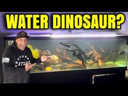 Rare Freshwater Dinosaur Fish!