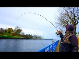 Pier Fishing ENORMOUS Lake Michigan TROUT + MONSTER BYCATCH!