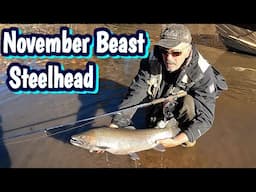 Ontario Steelhead - Fresh run November Chrome 2024