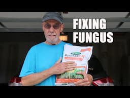 FIXING FUNGUS