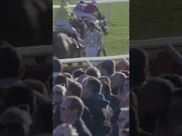 This footage of Ruby Walsh 👀 #horse #horseracing #racingtv #sport #britishhorseracing