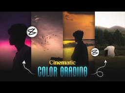 Instagram CINEMATIC Reels COLOR GRADING in Capcut ( For Begginers )