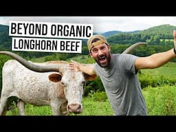 Family sold EVERYTHING to build a SUSTAINABLE LONGHORN Cattle Ranch!