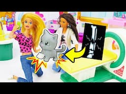 A Boneca Barbie e o Gato Perdido: O Que Fazer Agora?  Vlog da Barbie