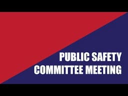 Public Safety Committee Virtual Meeting of December 4, 2024