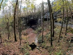 This Cave Has Been Occupied for Over 12,000 YEARS!!! - Russell Cave National Monument