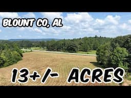 13 #acres  - Home Site - Pasture Land - Alabama #landforsale