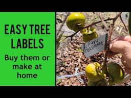 Easy Affordable Tree Labels You Can Buy Or Make Yourself At Home