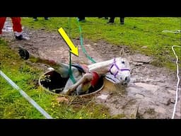 Brave Villagers SAVE Baby Pony Stuck in Well | Animal Rescue