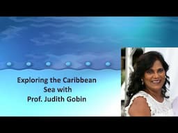 The Wormhole - Exploring the Caribbean Sea with Prof. Judith Gobin