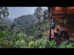 Living in a Treehouse CHIANG MAI 🇹🇭 A Magical Thailand Escape