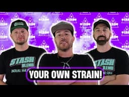 Beginners Journey To Breeding Your Own Strain! - From The Stash Podcast Ep.206