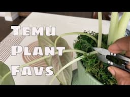 Favorite Temu Plant Products /Bargain Plant Supplies / Temu Haul