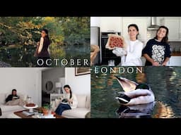 OCTOBER IN HAMPSTEAD A COSY AUTUMN VLOG | Alessandra Rosa