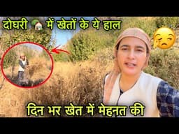 पहाड़ों में दोघरी 🏠 के काम-काज || दिन भर खेत में काम किया || Pahadi lifestyle Vlog ||Girl from North