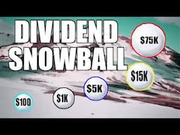 The Dividend Snowball Strategy: How to Build Wealth Over Time