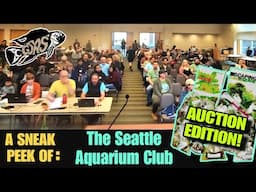 A Sneak Peak At The Seattle Aquarium Society & Our Auctions  ( Oh, & You Can Join Online too! )