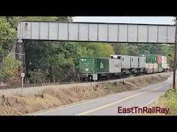 Norfolk Southern 8114 Heritage on NS 289