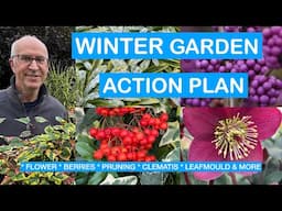 WINTER GARDEN ACTION PLAN – FLOWERS, BERRIES, PRUNING, LEAFMOULD, CLEMATIS & JOBS THROUGH WINTER