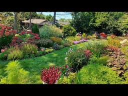 Early September Garden Tour. Minnesota Zone 5a