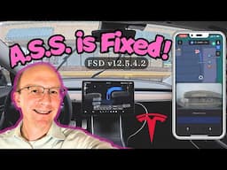 FSD v12.5.4.2 Brings Actually Smart Summon Enhancements and FIXES Bug! 🪲