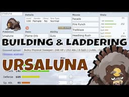 Building & Battling Ursaluna in SV OU!