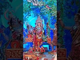 Dhenkanal Gajalaxmi Puja 2024. #dhenkanal #gajalaxmipuja #dhenkanallaxmipuja