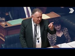 Shane Jones: What kind of person would ban New Zealand's Oil and Gas? A fool dressed in Green