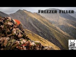 Wild Game Hunting to Fill the Freezer | 5 Day Wilderness Deer Hunt in the Southern Alps of NZ