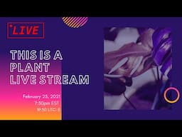 This is a Plant Stream | plant & chill | Feb 25 2021