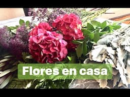 Flores para casa @lacasadealejandra1