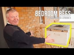 The Secret Balcony Beehive Experiment – Will It Work? | The Bush Bee Man