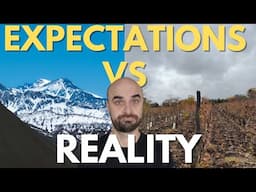 A Weekend in Mendoza | Expectations vs. Reality