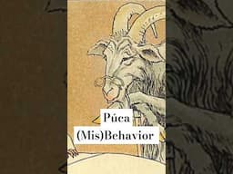 how the shape-shifting spirit known as the púca behaves, according to Irish #folklore & #mythology