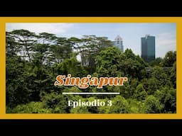 SINGAPUR 🇸🇬 Visitamos los parques más grandes 🌳, el lugar más extraño 😳, y el Jardín Botánico 🎶