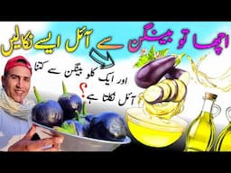 1 Kg Baingan se kitna Oil nikalta hai🍆اچھا تو بینگن سے آئل ایسے نکلتا ہے🍆Baingan ka Tel,Eggplant oil