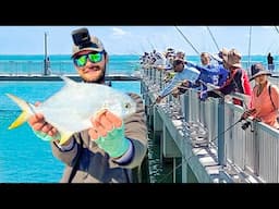 CRAZY Pier Fishing For Florida's BEST Tasting Fish (Fort De Soto Pompano)