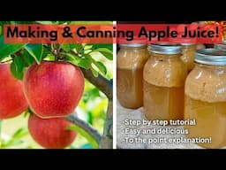 How to make & can APPLE JUICE | Step-by-step tutorial  | Delicious apple juice recipe!