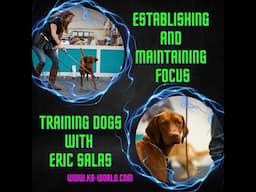 Training dogs - Establishing and maintaining focus