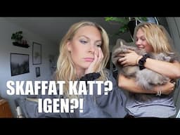 VLOGG: JAG HAR FLYTTAT HEM.