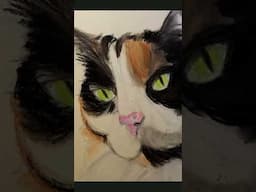 Cat Portrait in Pastel - Drawing cats