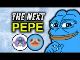 The Next PEPE is on SUI