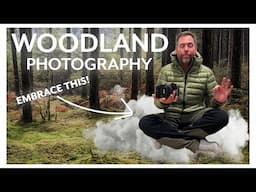 Discover The Perfect Woodland Photography Composition With These Tips!