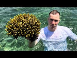 Where our corals come from.. visiting a coral farm in Bali