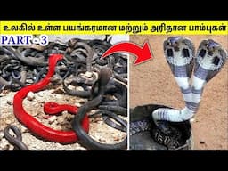 🔴அரியவகை பாம்புகள் #3 | Rarest Snake In The World in Tamil #live #shorts