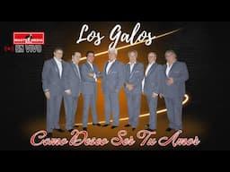 Los Galos - Como Deseo Ser Tu Amor (En Vivo)🫶💿