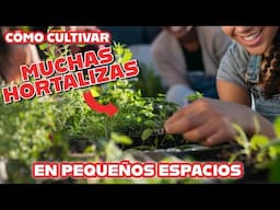 Cultiva todo tipo de vegetales en poco espacio, de forma orgánica y fácil.